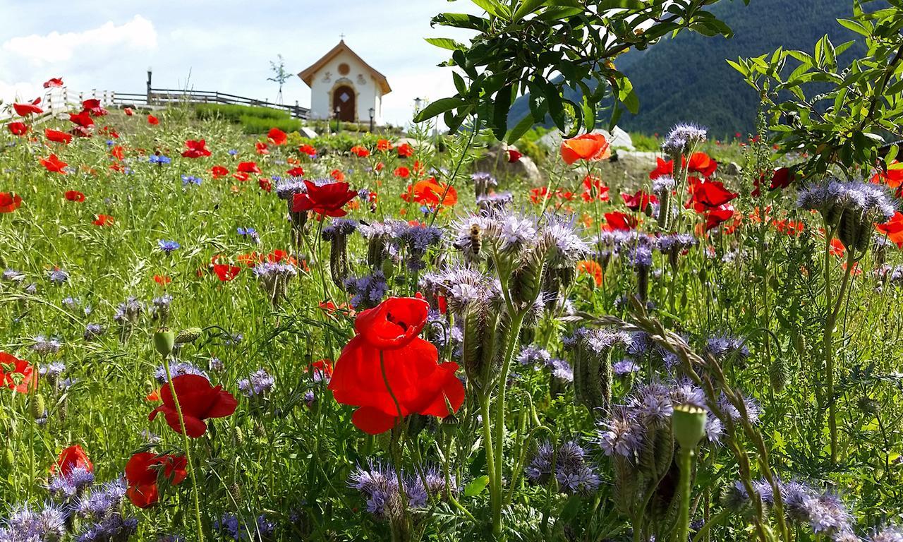 Forster'S Naturresort Neustift im Stubaital Exterior photo